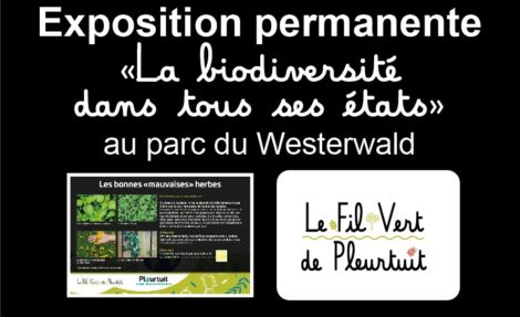 Exposition Jardins biodiversité Pleurtuit Au cœur de la côte dEmeraude